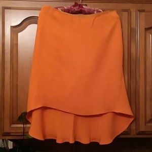 Uniquely Designed Skirt